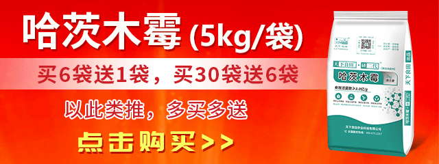 哈茨