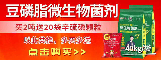 豆磷脂