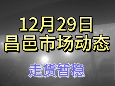 12月29日 昌邑生姜交易實況（走貨暫穩） (434播放)