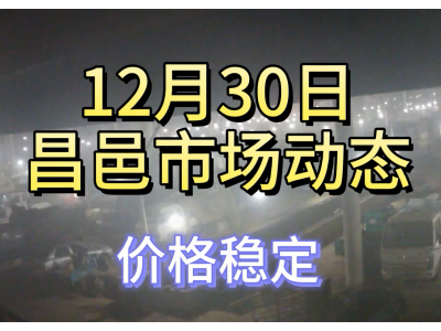 12月30日 昌邑生姜交易實況（價格穩定） (130播放)