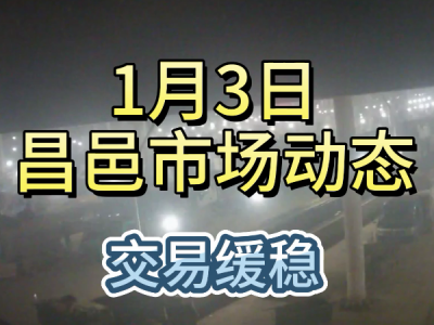 1月3日 昌邑生姜交易實況（交易緩穩） (121播放)