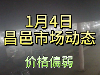 1月4日 昌邑生姜交易實況（價格偏弱） (143播放)