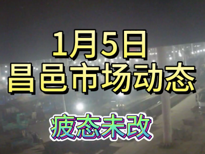 1月5日 昌邑生姜交易實況（疲態未改） (148播放)