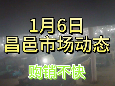1月6日 昌邑生姜交易實況（購銷不快） (159播放)