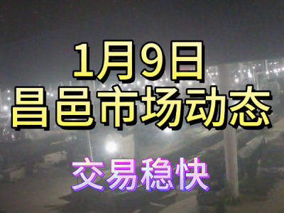 1月9日 昌邑生姜交易實況（交易穩快） (195播放)