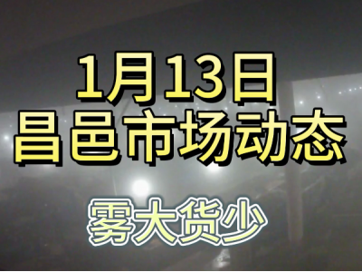1月13日 昌邑生姜交易實況（霧大貨少） (262播放)
