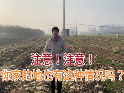 注意！注意！您家的地有這種情況嗎？ (4813播放)