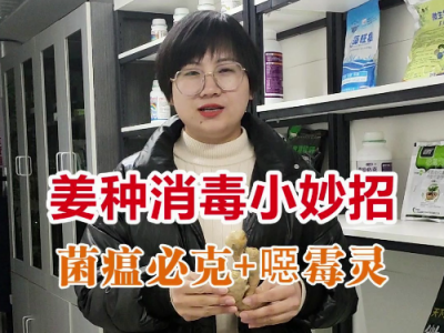 姜種為什么要消毒？ (4835播放)