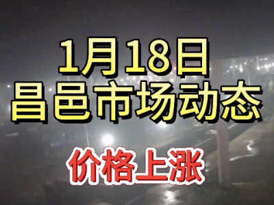 1月18日 昌邑生姜交易實況（漲1-2毛） (318播放)