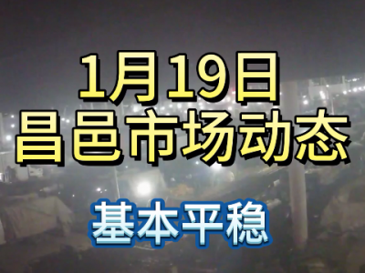 1月19日 昌邑生姜交易實況（基本平穩） (345播放)