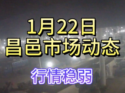 1月22日 昌邑生姜交易實況（行情穩(wěn)弱） (356播放)