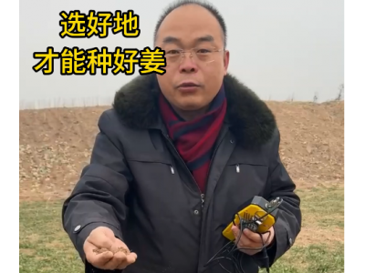 選好地 才能種好姜 (4691播放)