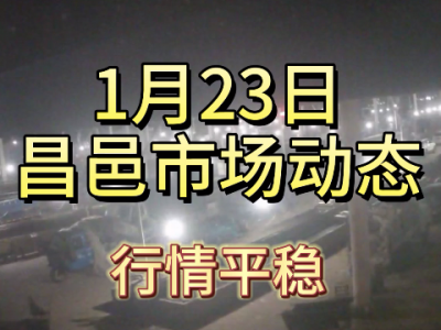 1月23日 昌邑生姜交易實況（行情平穩(wěn)） (356播放)