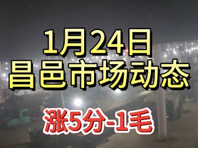 1月24日 昌邑生姜交易實況（漲5分-1毛） (402播放)