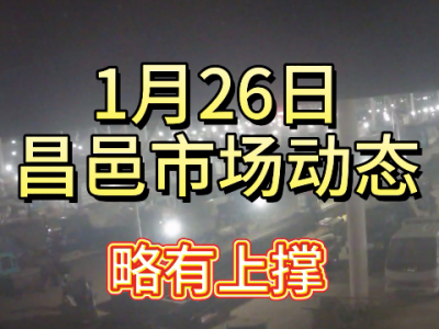 1月26日 昌邑生姜交易實況（略有上撐） (408播放)