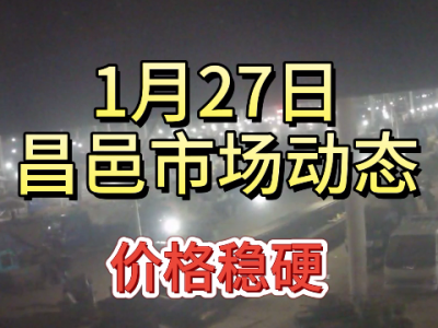 1月27日 昌邑生姜交易實況（價格穩(wěn)硬） (422播放)