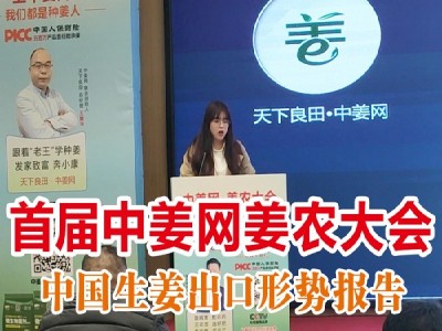 首屆中姜網(wǎng)姜農(nóng)大會(huì)--中國(guó)生姜出口形勢(shì)報(bào)告 (4736播放)
