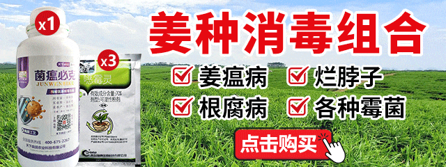 姜種消毒