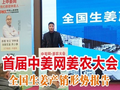 首屆中姜網姜農大會--全國生姜產銷形勢報告 (4741播放)