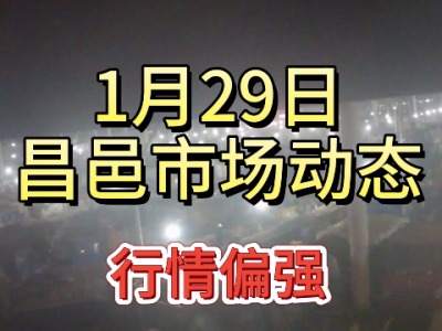 1月29日 昌邑生姜交易實況（行情偏強） (425播放)