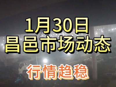 1月30日 昌邑生姜交易實況（行情趨穩(wěn)） (435播放)