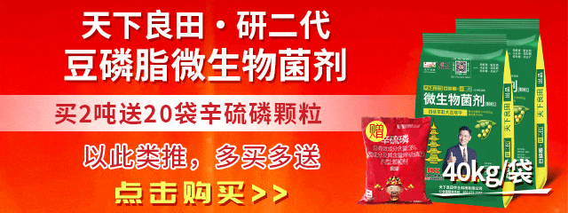 豆磷脂