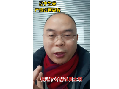 遼寧生姜產量如何突破？ (116播放)