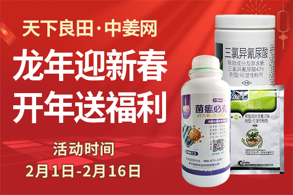 龍年迎新春 開年送福利 ()
