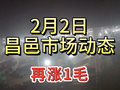 2月2日 昌邑生姜交易實況（再漲1毛） (170播放)