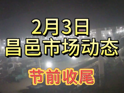 2月3日 昌邑生姜交易實況（節前收尾） (191播放)