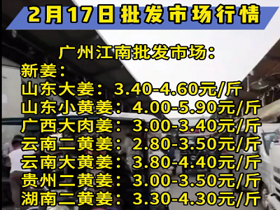 2月17日廣州江南批發市場生姜價格行情 (4771播放)
