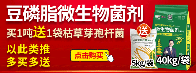 10億豆磷脂1噸