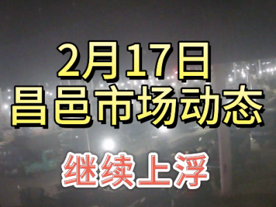 2月17日 昌邑生姜交易實況（繼續(xù)上浮） (216播放)
