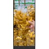 生姜加工大量供應