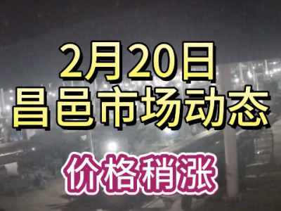 2月20日 昌邑生姜交易實況（價格稍漲） (241播放)