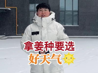 拿姜種要選好天氣 (229播放)