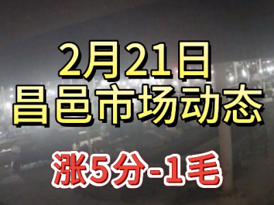 2月21日 昌邑生姜交易實況（漲5分-1毛） (255播放)