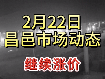 2月22日 昌邑生姜交易實況（繼續(xù)漲價） (111播放)