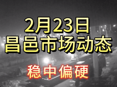 2月23日 昌邑生姜交易實況（穩(wěn)中偏硬） (126播放)