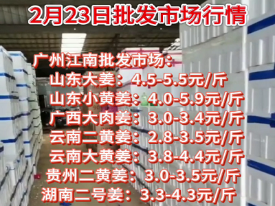 2月23日廣州江南批發市場生姜價格行情 (4806播放)