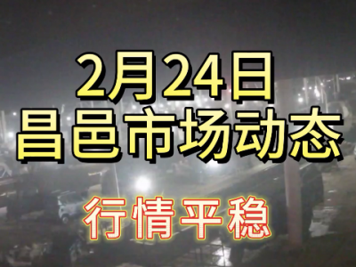 2月24日 昌邑生姜交易實況（行情平穩(wěn)） (141播放)