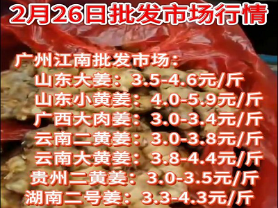 2月26日廣州江南批發市場生姜價格行情 (4808播放)