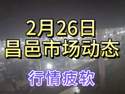 2月26日 昌邑生姜交易實況（行情疲軟） (143播放)