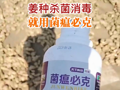 姜種殺菌消毒 就用菌瘟必克 (214播放)