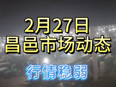 2月27日 昌邑生姜交易實況（行情穩(wěn)弱） (143播放)