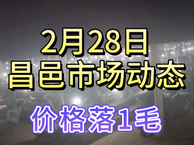 2月28日 昌邑生姜交易實況（落價1毛） (175播放)