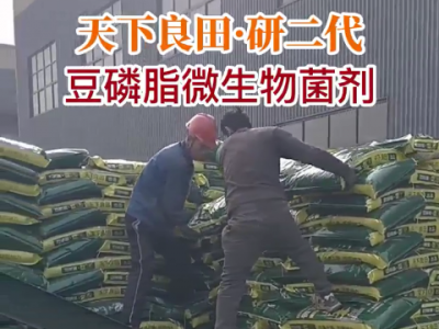 云南李老師訂單發(fā)貨中...... (122播放)