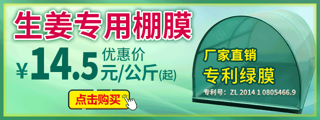 生姜專用棚膜