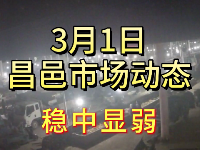 3月1日 昌邑生姜交易實(shí)況（穩(wěn)中顯弱） (170播放)