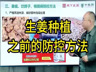 生姜種植之前的防控方法 (118播放)